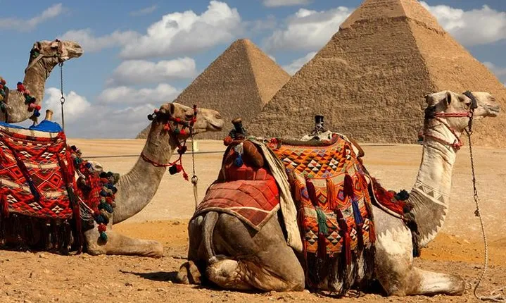 Giza pyramids, Sphinx, Camel ride and Grand Egyptian museum