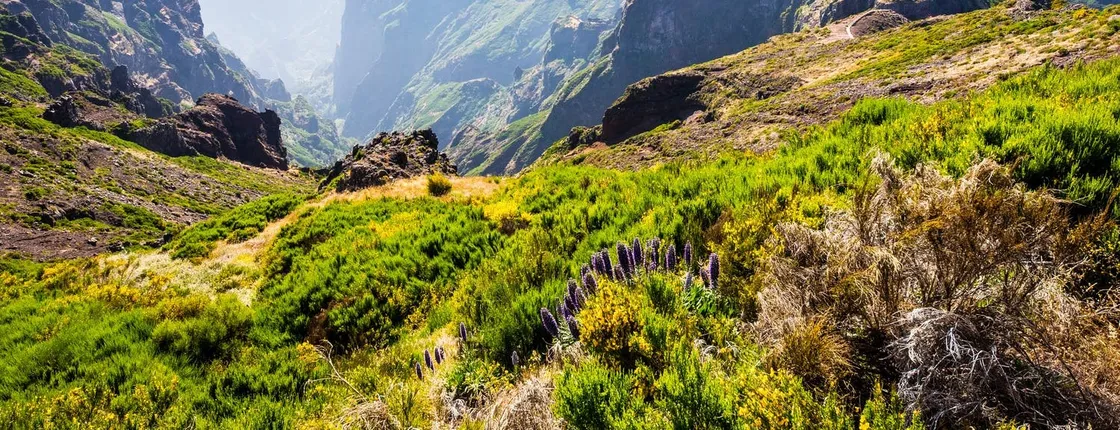 Full-day guided walking tour to Pico do Arieiro and Pico Ruivo