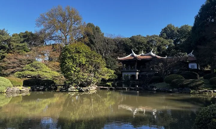 Full Day Walking Tour in Shinjuku and Shibuya