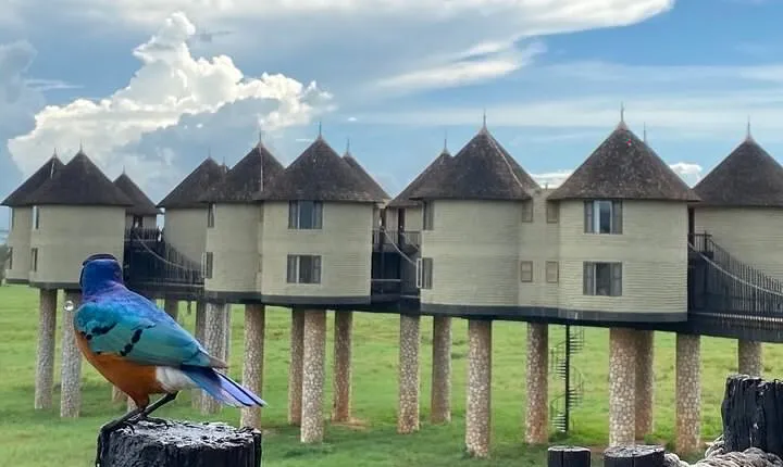 Private Tsavo East Tour