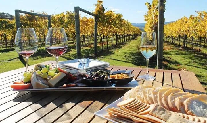 Wine tour and private cooking class 6 hours