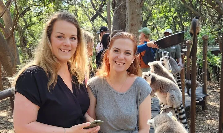 Monkey and Lemur Interaction + Wooden Bridge Forest Walk