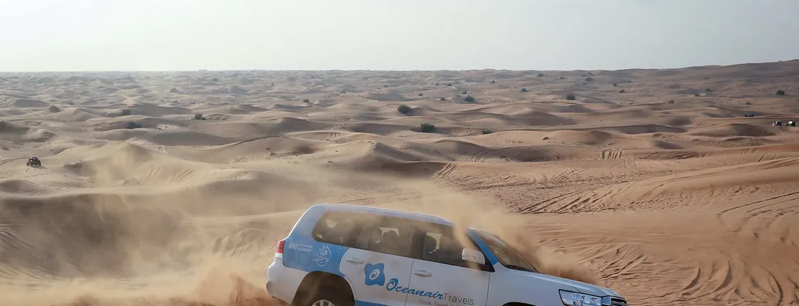Abu Dhabi desert safari with BBQ, camel ride and sandboarding