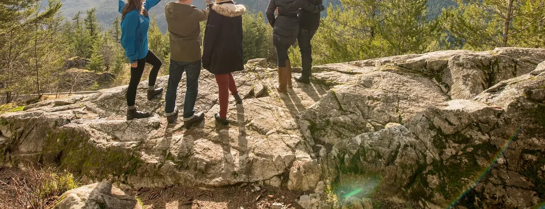 Whistler, Shannon Falls and Sky Gondola tour from Vancouver
