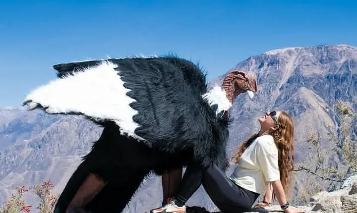  Colca 2 Days and 1 Night