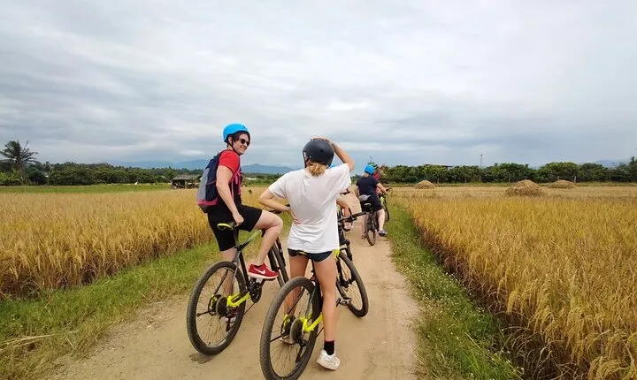 Chiang Mai Rice Fields Bike Tour Along Mae Ping River