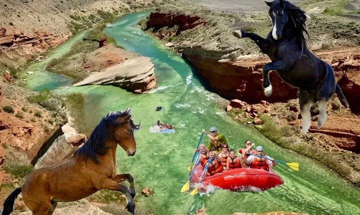 Red Canyon’s Best Of The Wild West Wild Mustang+Rafting Adventure