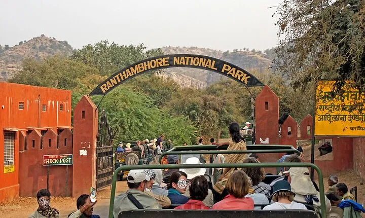 Jaipur to Ranthambore National Park Private One Day Trip
