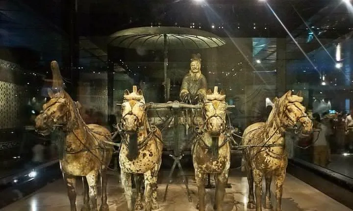 Luoyang Private Trip to Xi'an Terracotta Warriors & City Wall by Bullet Train