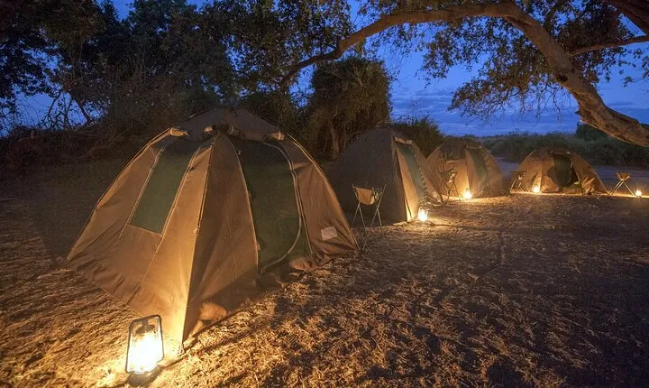 2 Nights 3 Days Chobe Safari ex Livingstone/ Victoria Falls