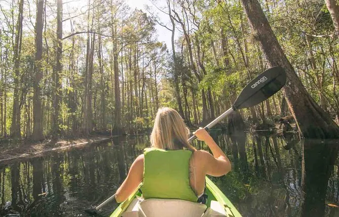 Half-Day Shingle Creek Guided Kayak Tour with Lunch and Roundtrip Transport
