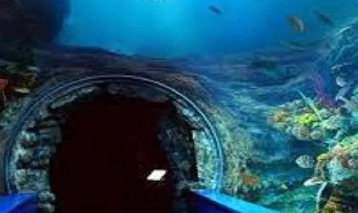 Visit to the Alexandria Museums