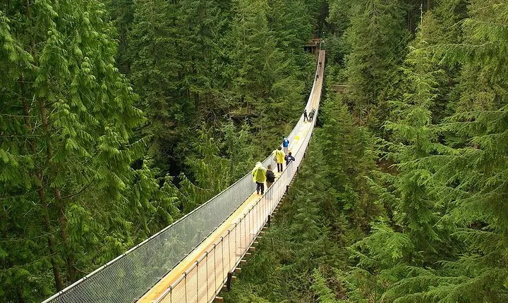 Vancouver and Capilano Park Private Tour
