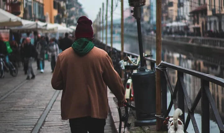 Touristic highlights of Milan on a Private half day tour with a local