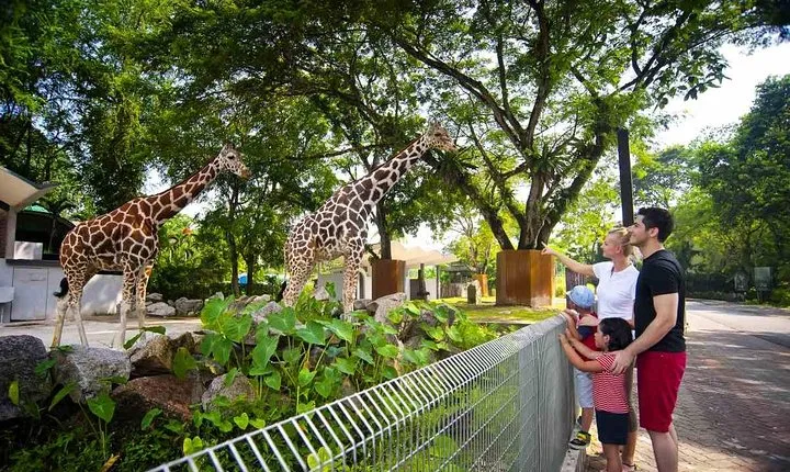 Private Tour to Kuala Lumpur Most Iconic Animal Attractions