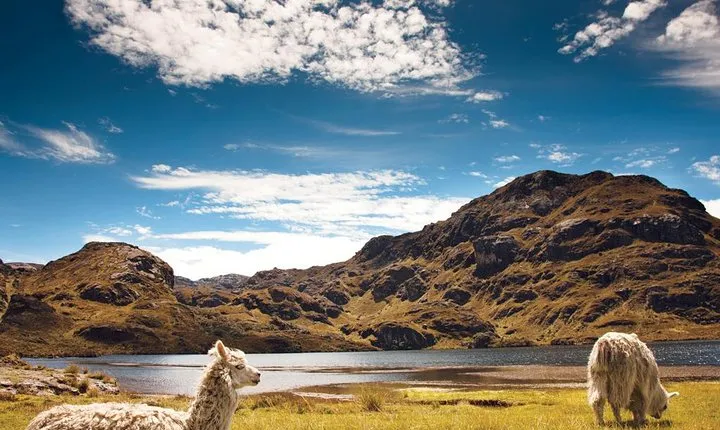 Private Cajas National Park Full Day Tour