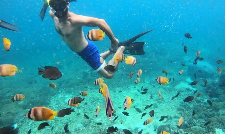 From Bali One Day Nusa Penida Tours with Manta Rays Snorkeling