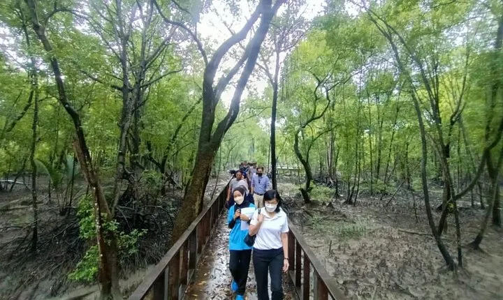 Small Group Tour to Royal Town of Klang plus Mangrove Point