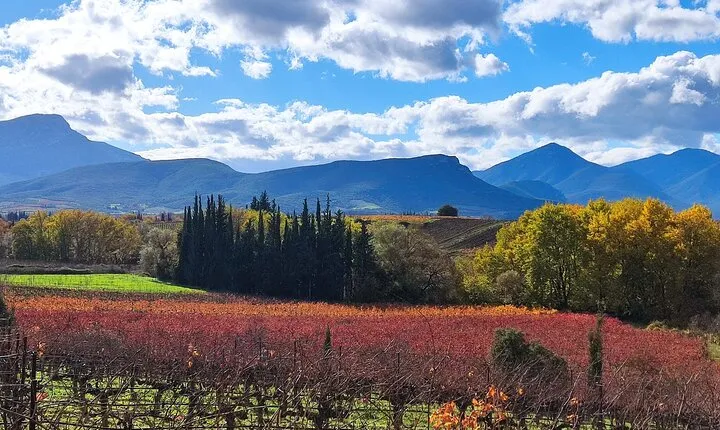 Nemea Premium One Day Wine Gathering