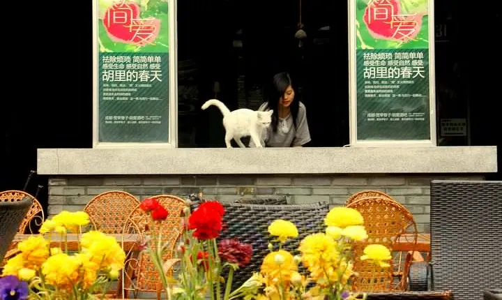 Half Day Private Chengdu City Highlights Tour By Metro