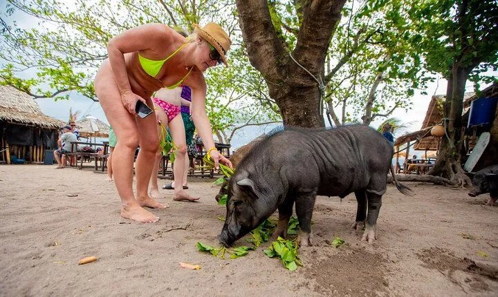 Koh Samui Islands Snorkeling Trip By Speedboat
