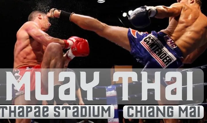 Thapae Stadium Muay Thai Boxing Experience – Chiang Mai