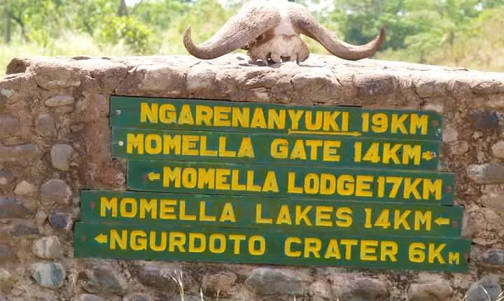 1 Day Private Safari in Arusha National Park.