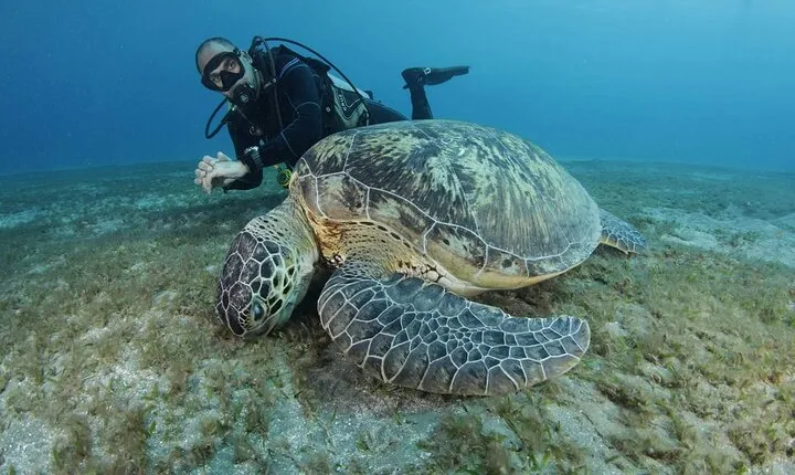 Snorkeling Trip in Abu Dabbab from Hurghada