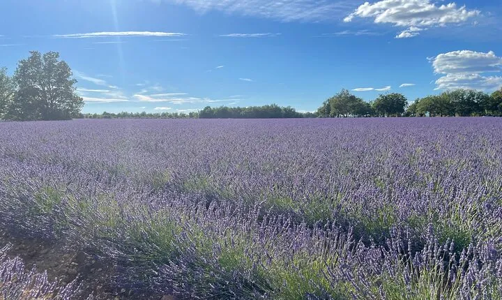 Provence pearl of southern France