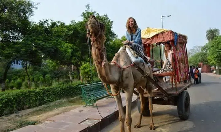 1Night & 2Days Agra & Jaipur Transportation with local guiding experience