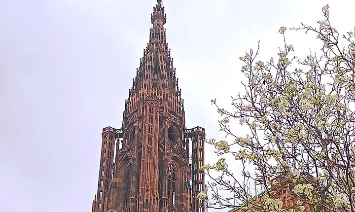 Guided Tours of Strasbourg Cathedral