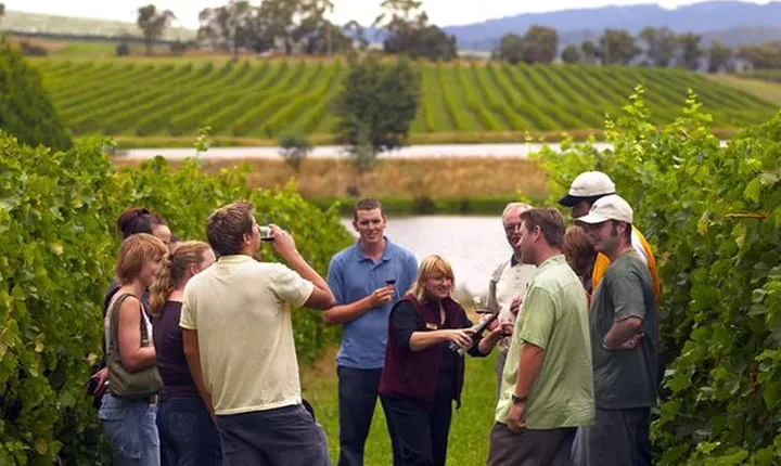 Horseback Riding, Wine Tasting in Tuscany