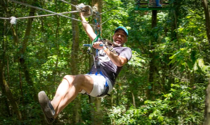 Mystic Forest Canopy Experience