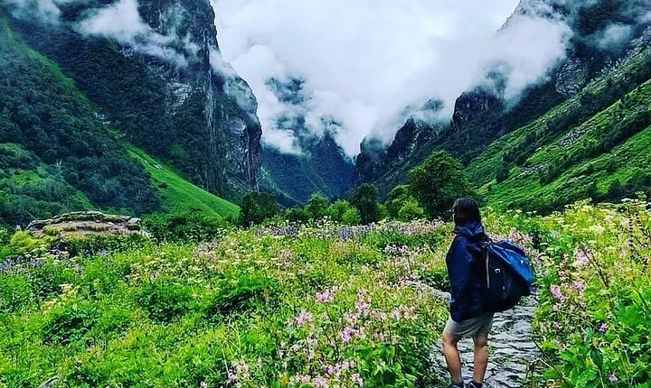 7-Day Trekking Tour to Visit Valley Of Flowers In Uttarakhand