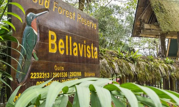 Bellavista Cloud Forest reserve / 3 day tour
