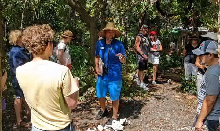 St. Petersburg Jungle Prada Site History Tour