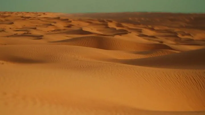 Desert Safari