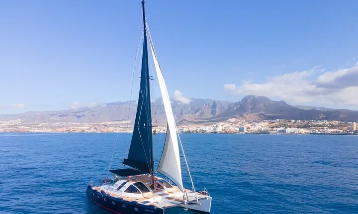 Tenerife Whales and Dolphins Watching Experience in Catamaran