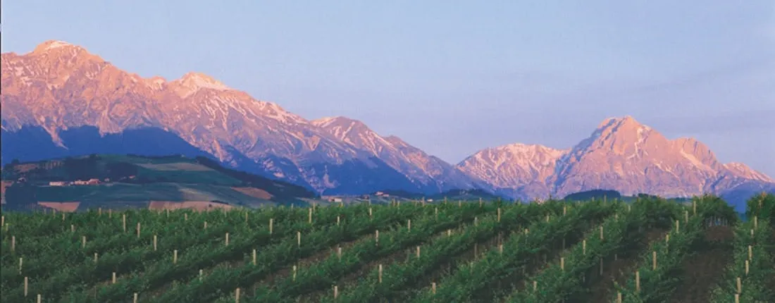 Visit and tasting at San Lorenzo winery