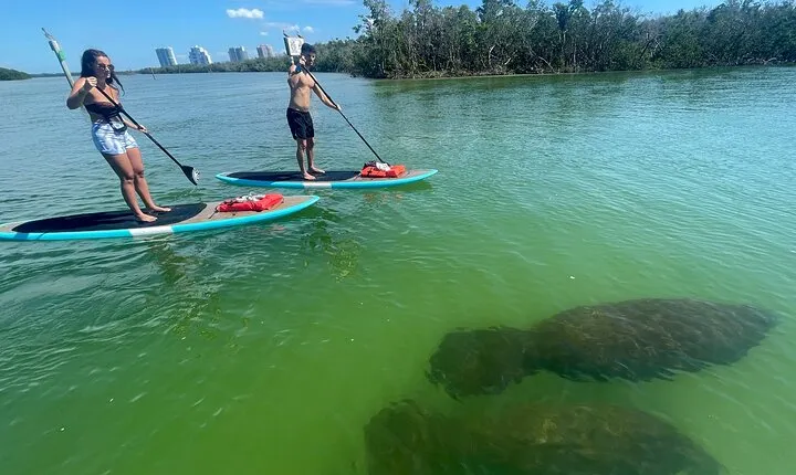 Dolphin and Manatee Adventure Tour of Naples with Florida History