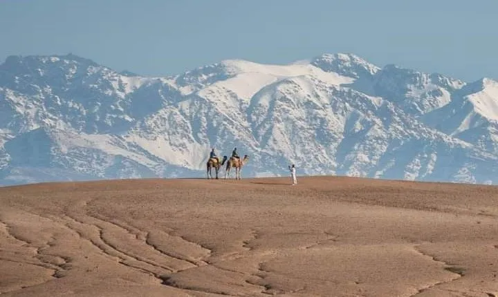 Marrakech: Agafay Desert Dinner Show and Sunset Camel Ride