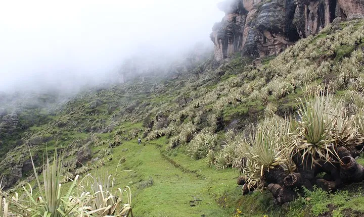Waqrapukara Full Day Tour -Private Service