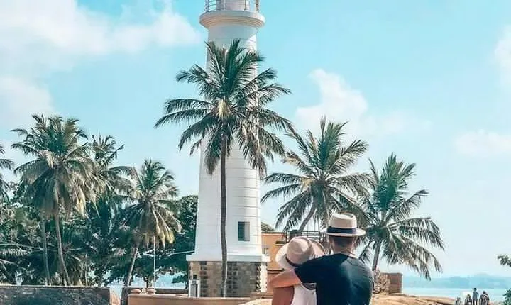 Galle Day Trip With Mangrove Safari From Colombo