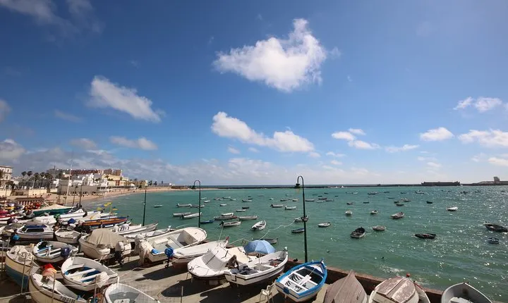 Cadiz Shore Excursion: Scenic & walking tour with cheese and sherry tasting 