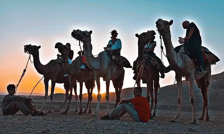 Camel Riding Tour in Luxor West Bank
