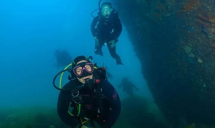 Scuba Dive The Beautiful Rottnest Island for Certified divers