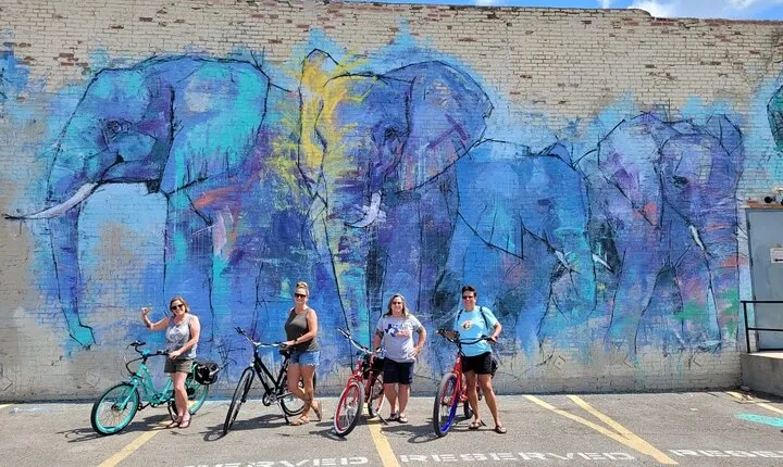 Dallas Electric Bike Rental