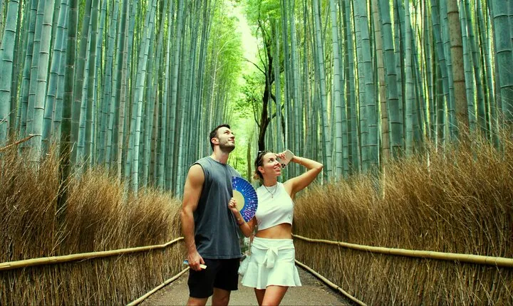 Kyoto: Arashiyama Bamboo Forest, Monkeys, Matcha & Temple Tour