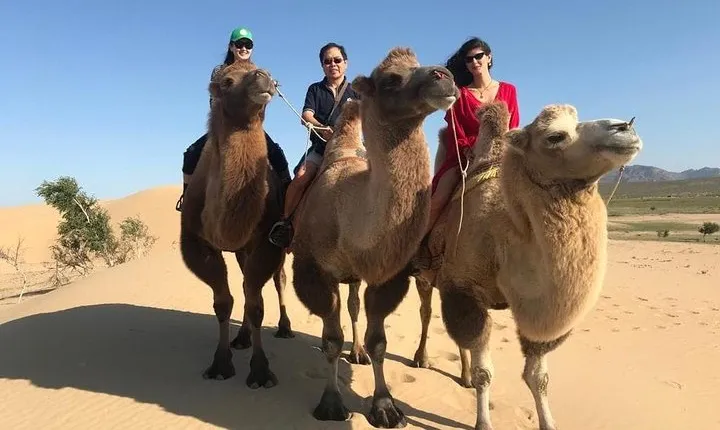 4 Days-The Best of Mongolia Collection tour 