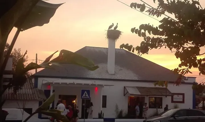 Floodgate / Horseback riding on the beach